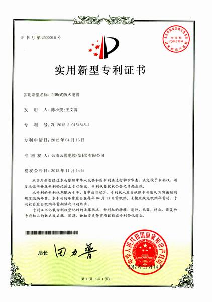 专利证书5