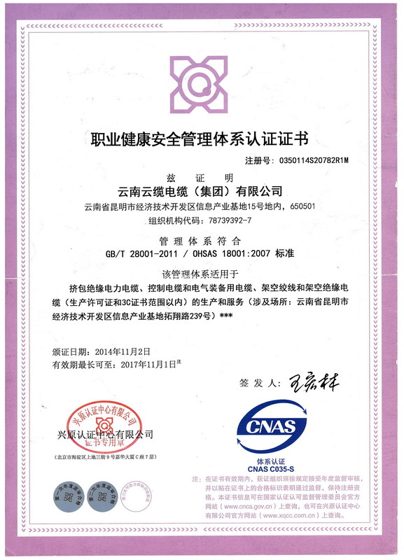 职业健康安全管理体系