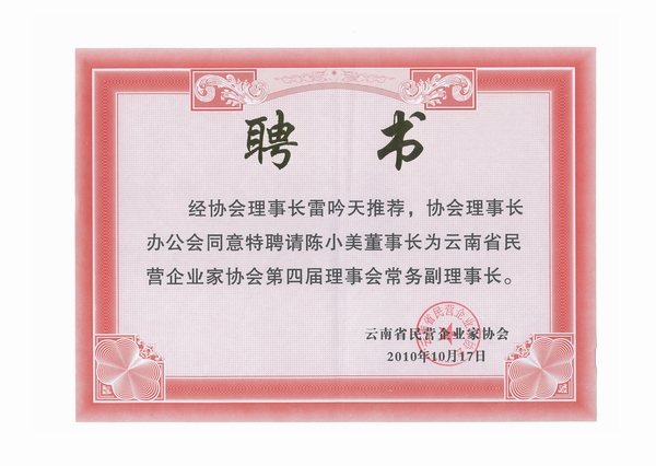 陈总被推选为云南省民营企业家协会常务副理事长
